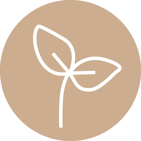 plantbaes icon