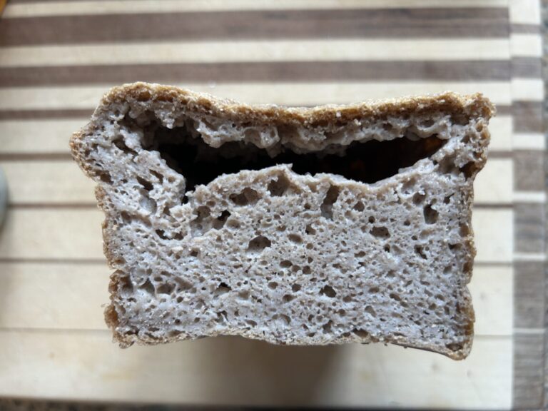 Rosemary Gabriel's Buckwheat Bread (1 Ingredient, Gluten Free)