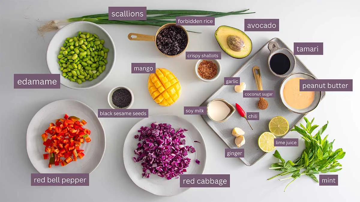An array of colorful, nutritious ingredients laid out for preparing a vibrant Rainbow Crunch Salad, accompanied by the elements for a rich peanut dressing.