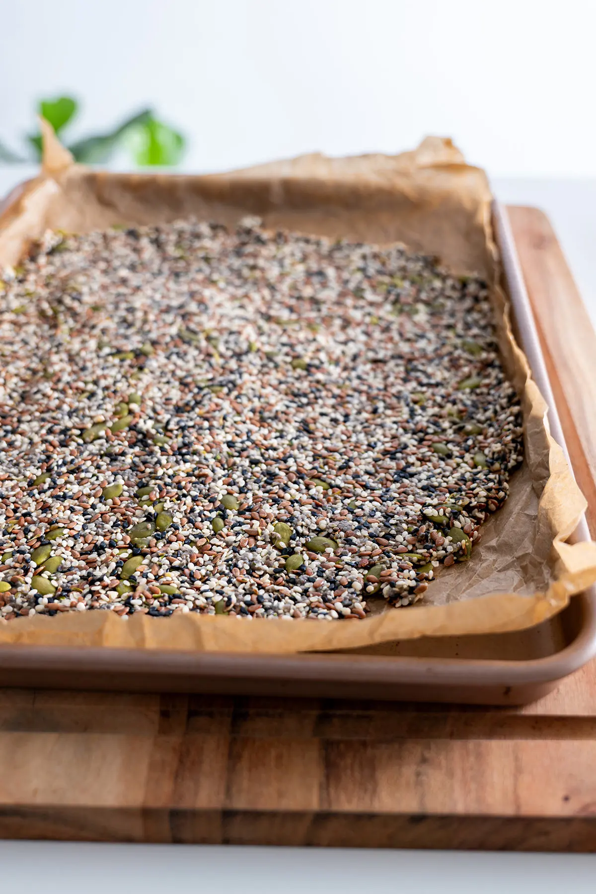 Spread of mixed seeds on baking paper ready to go into the oven.