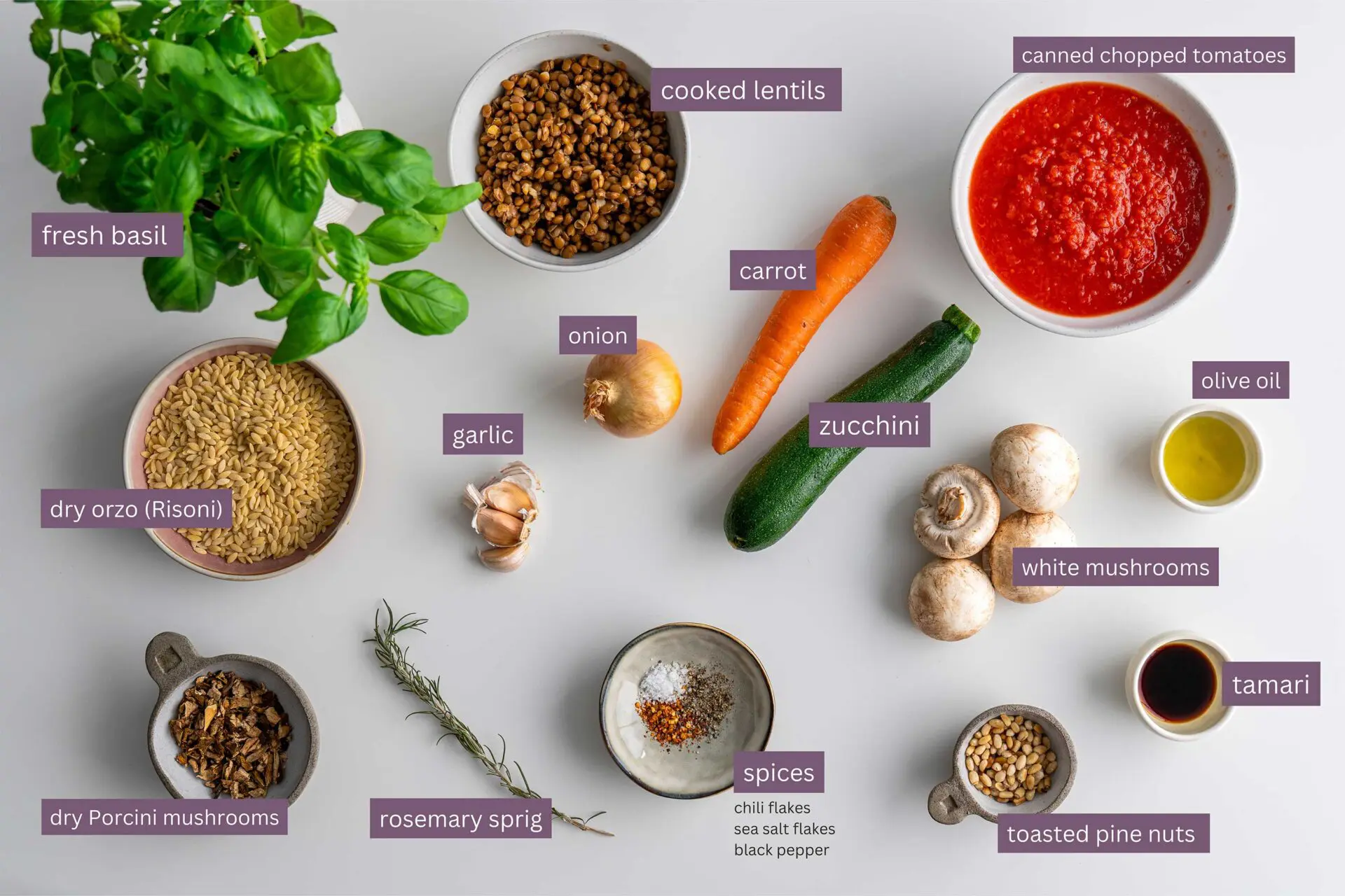Flat lay of ingredients for vegan one-pot orzo Bolognese including fresh vegetables, lentils, spices, and dry orzo.