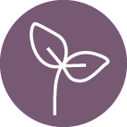 plantbaes logo purple