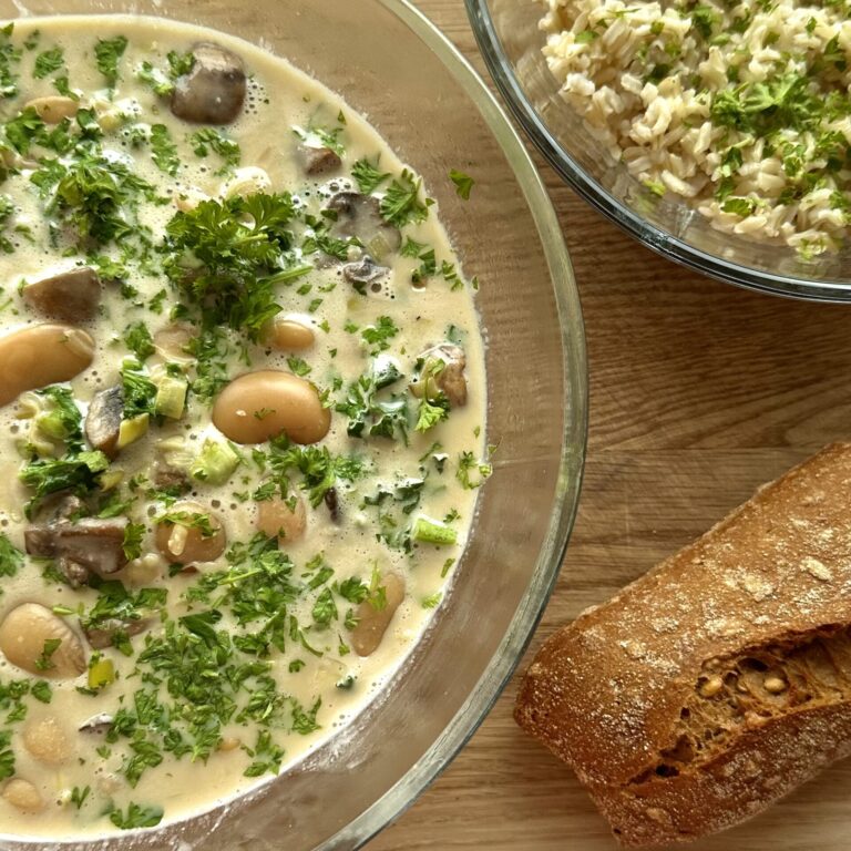 User creation by Winnie Fox