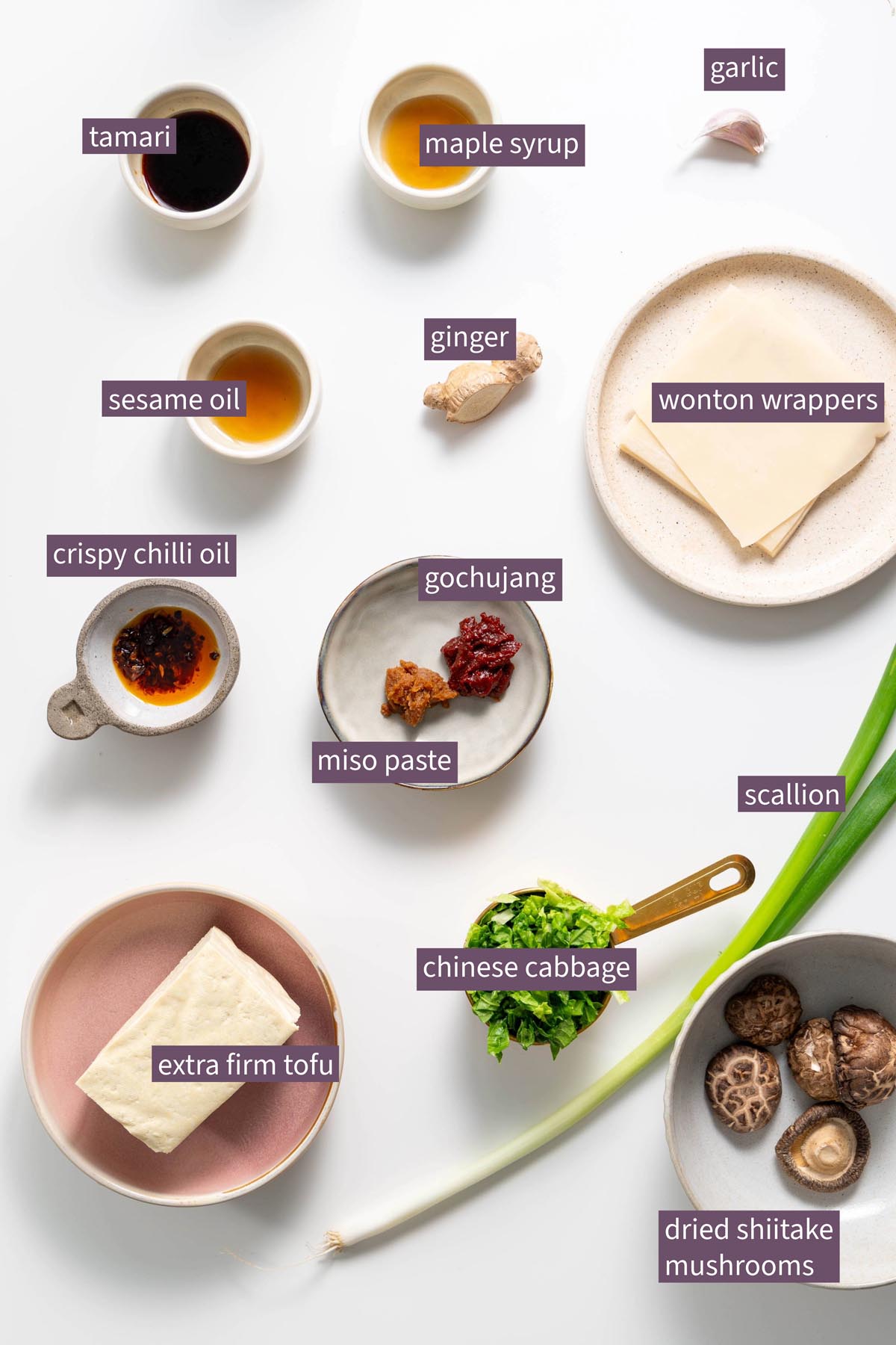 Nguyên liệu sống động cho món lasagna súp bánh bao trên bề mặt trắng