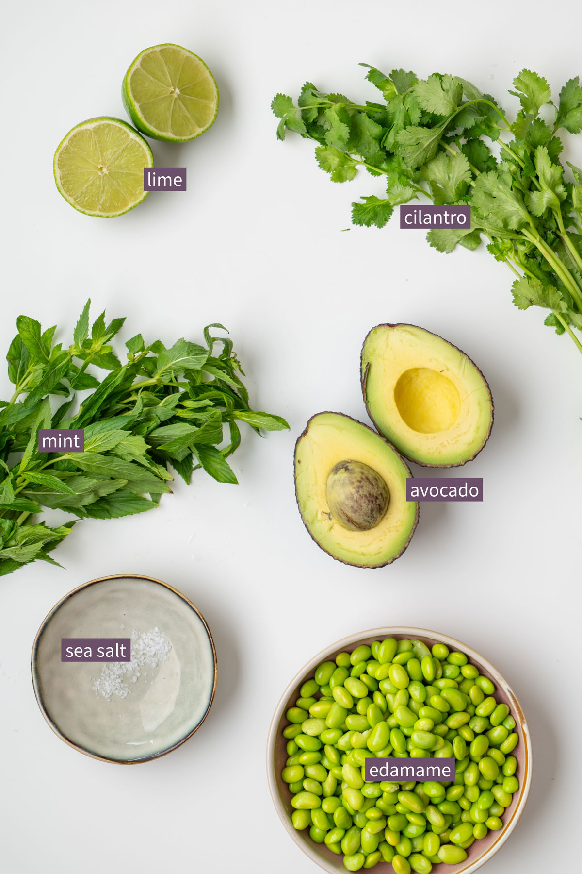Fresh ingredients for an edamame avocado spread on a white surface, including lime, cilantro, mint, avocado, sea salt, and edamame
