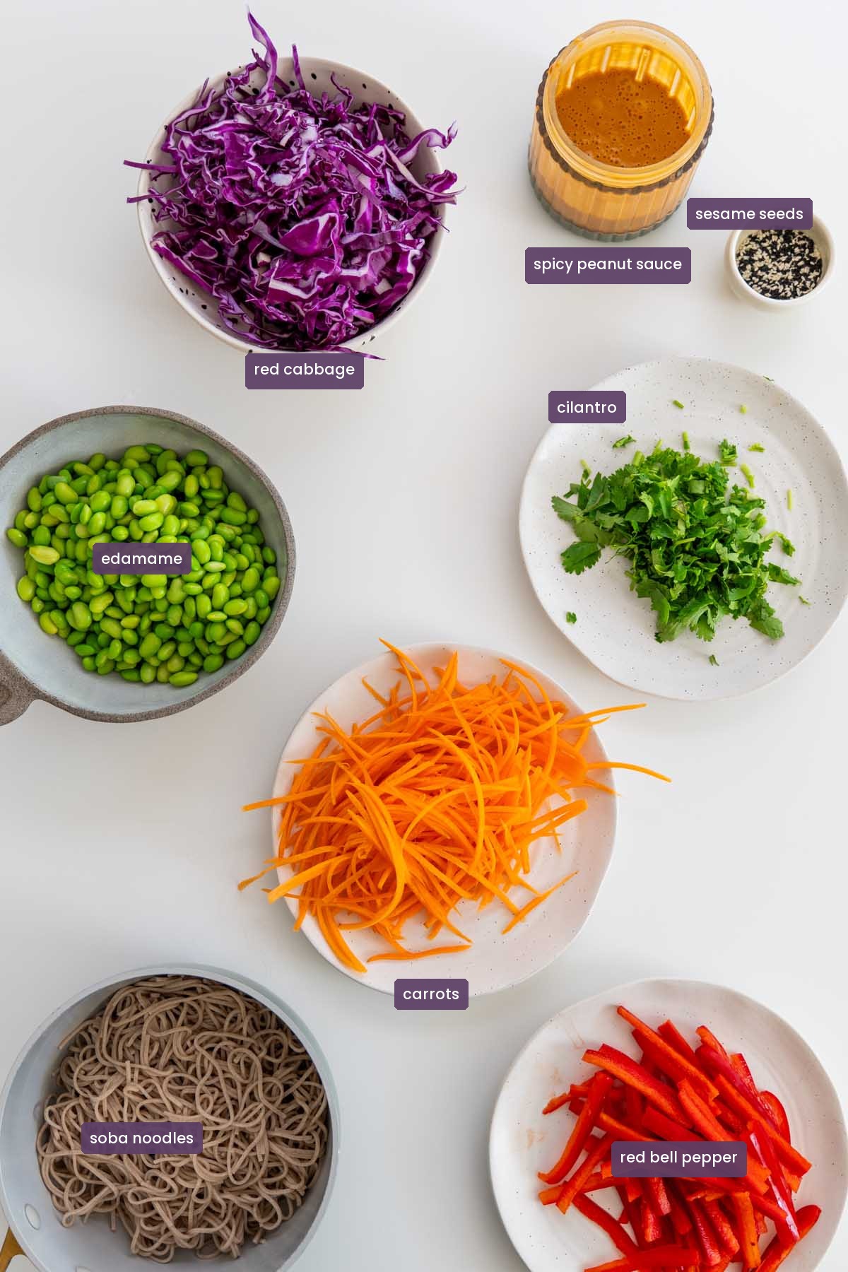 Vibrant ingredients for a spicy peanut noodle salad on a white surface, including soba noodles, edamame, red cabbage, carrots, red bell pepper, cilantro, sesame seeds, and the blended spicy peanut sauce