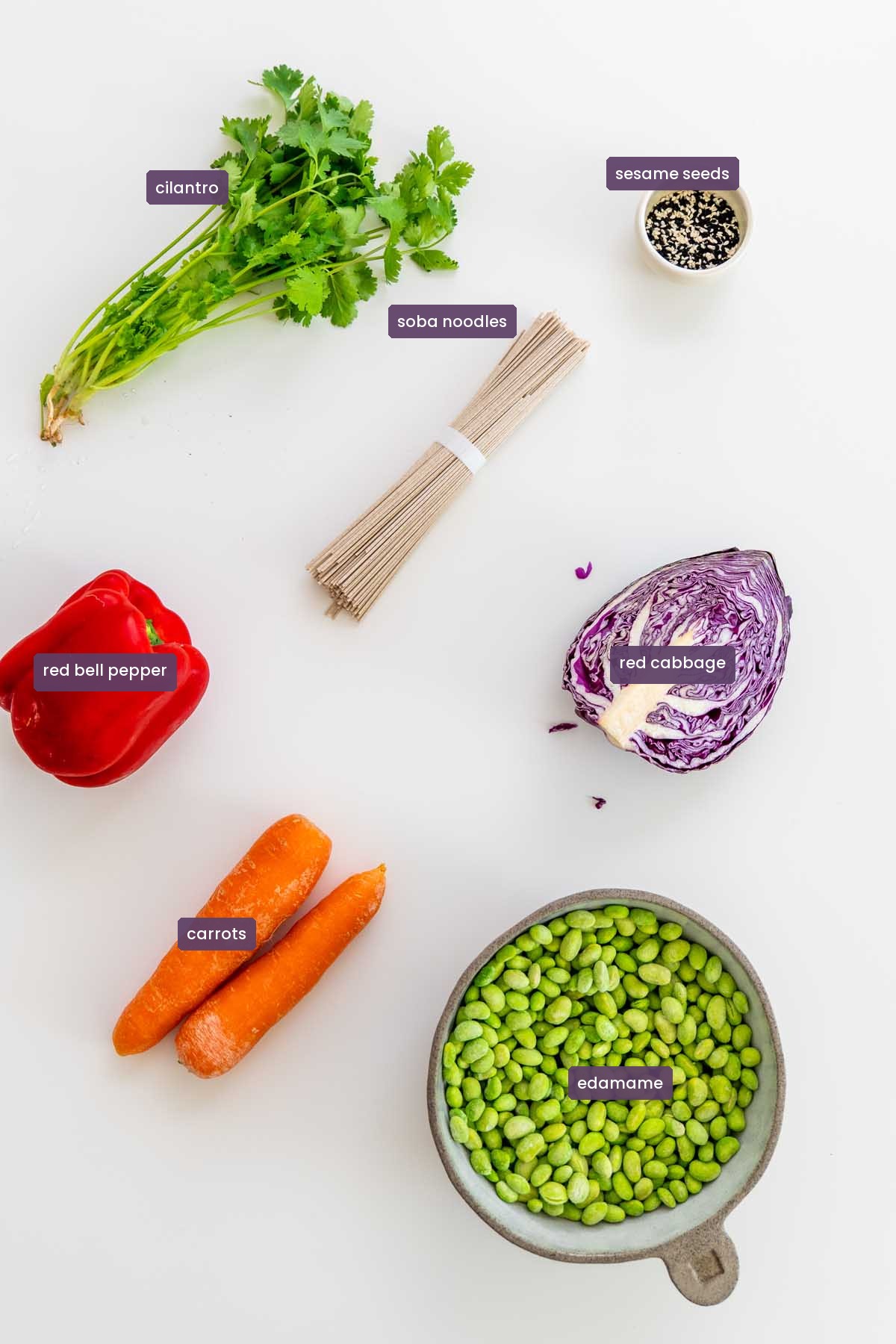Whole ingredients for a spicy peanut noodle salad on a white surface, including a bunch of cilantro, dry soba noodles, red bell pepper, red cabbage, carrots, edamame, and sesame seeds