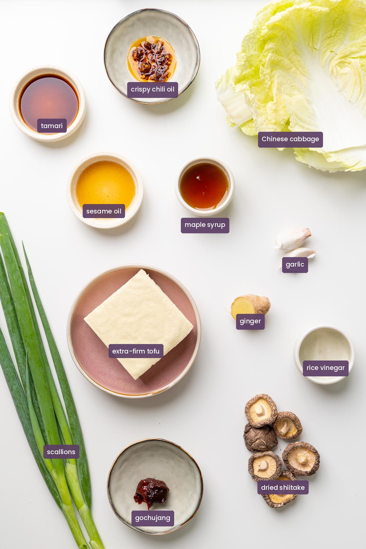 vibrant ingredients for a cabbage soup dumpling lasagna on a white surface.